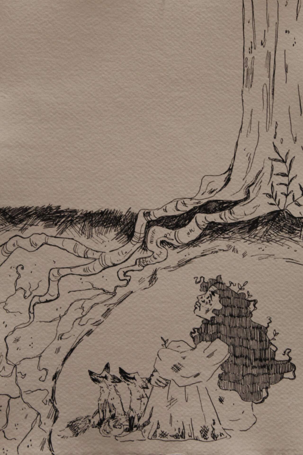 An ink drawing on paper. A girl hides in a burrow under a tree with two foxes